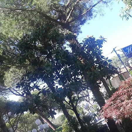 Helvetia Milano Marittima