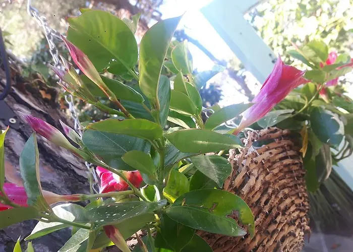 Ξενοδοχείο Helvetia 3*