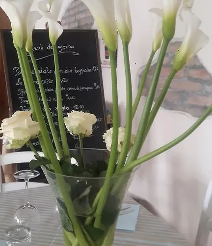 Hotel Helvetia Milano Marittima