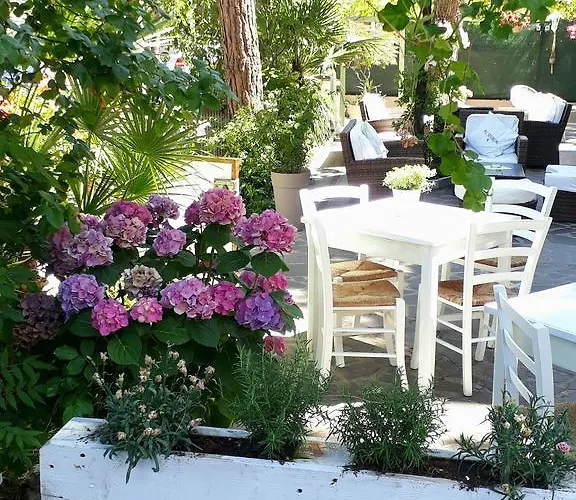 Ξενοδοχείο Helvetia 3*